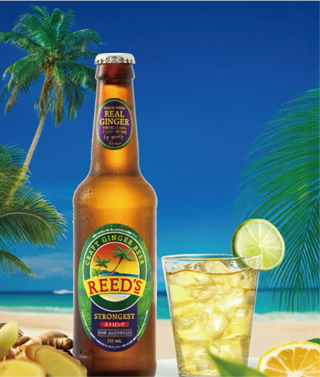 REED'S ジンジャービア ストロンゲスト